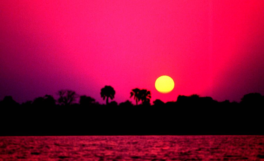 Zambezi Sunset